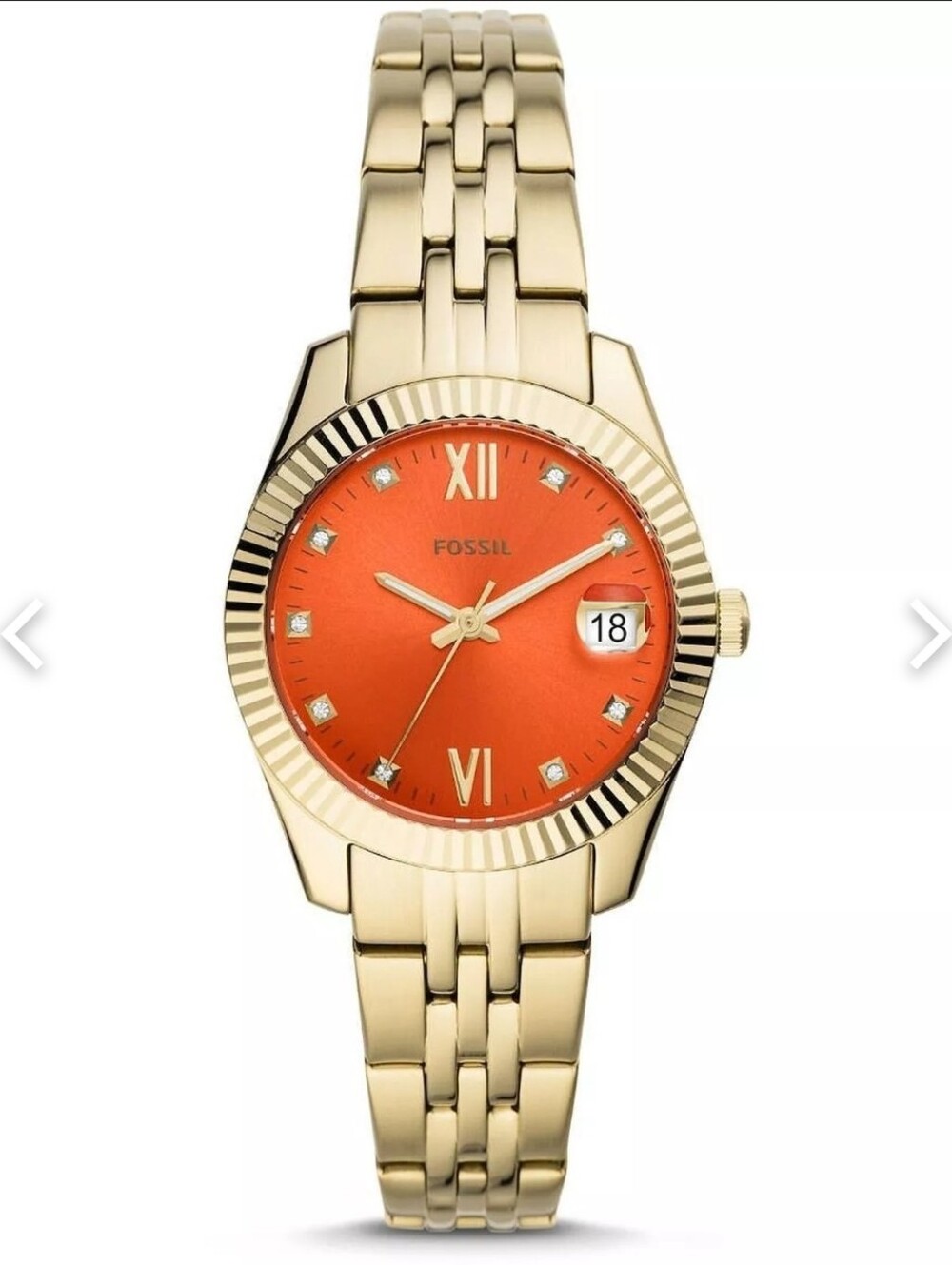 FOSSIL WATCH